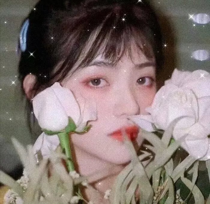 真情赤子心